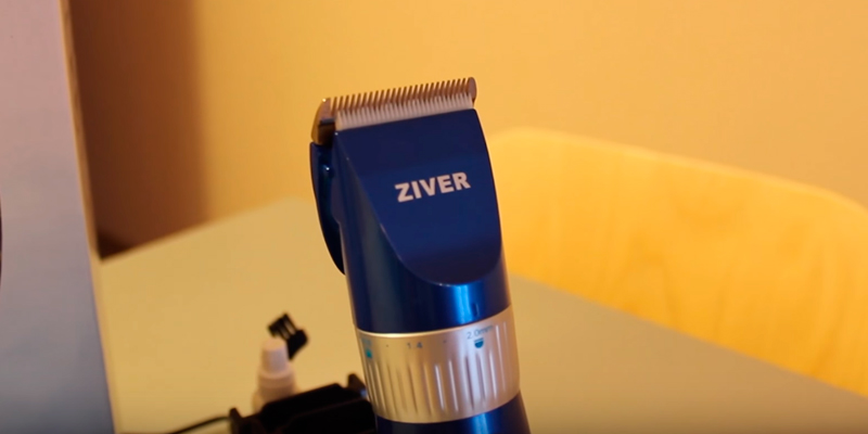 Ziver 202 в использовании