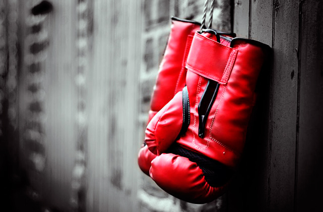 Лучшие перчатки для бокса и тренировок  